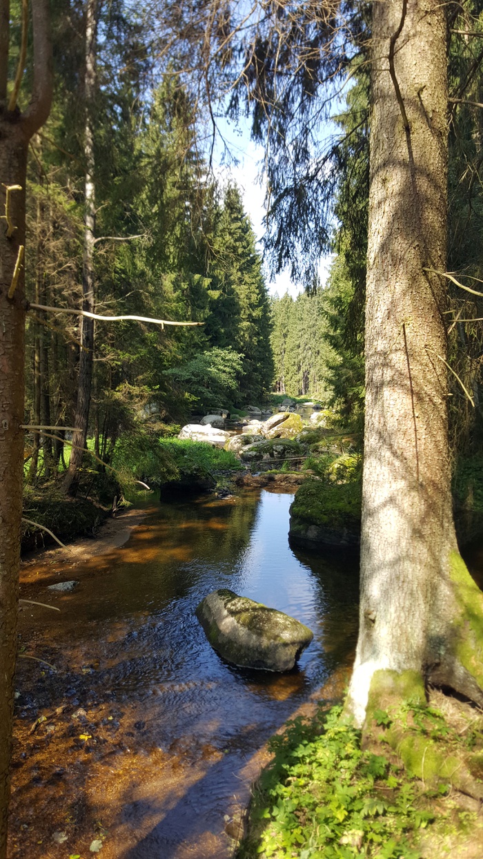 Kamp bei Roiten