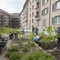Siedlung Sihlfeld, Allgemeine Baugenossenschaft Zürich, Architektur: Otto Streicher | Erneuerung: Rolf Schaffner