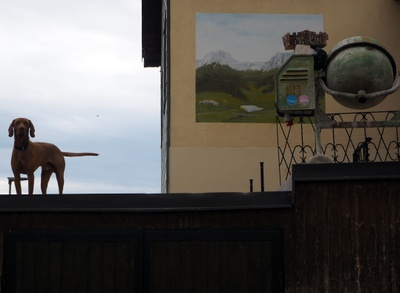 © Heidrun Schlögl