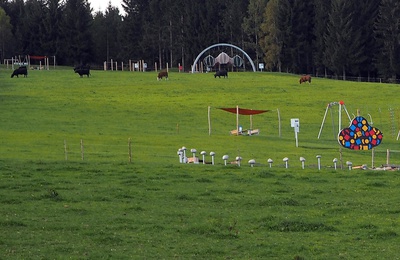 Waldrand