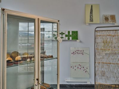 Blick in die Ausstellung "Carmen Müller: Von Gärten, Pflanzen und Menschen".