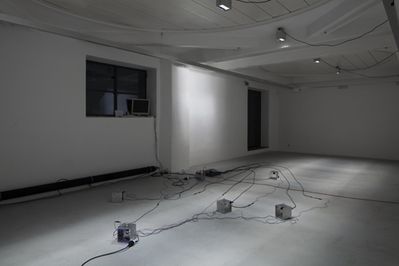 Blick in die Ausstellung "Rens Veltman: Infra und Ultra oder Colonise the Dark"