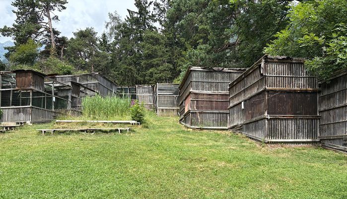 Greifvogelpark Telfes