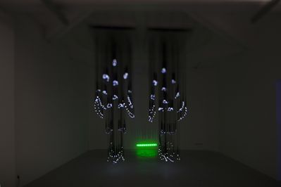 Blick in die Ausstellung "Rens Veltman: Infra und Ultra oder Colonise the Dark"