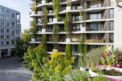 Hunziker Areal, Baugenossenschaft mehr als wohnen