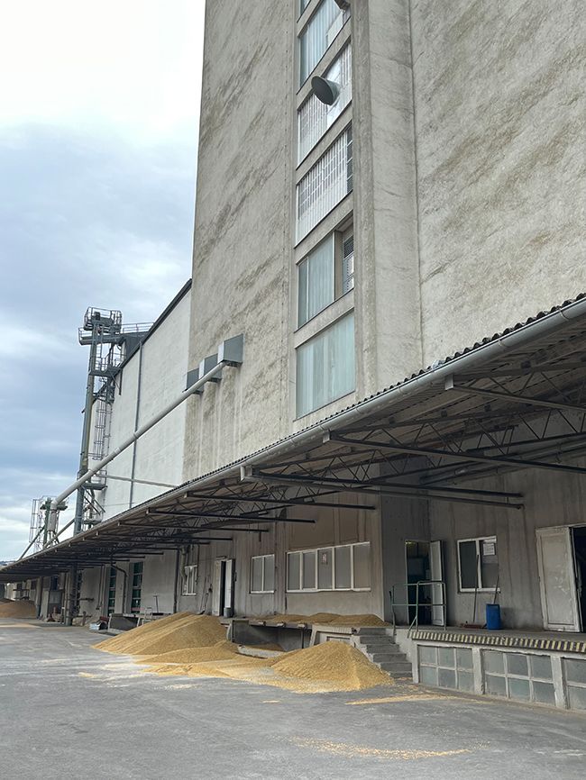 Silo _ Getreideanlieferung