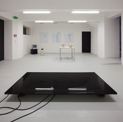 Blick in die Ausstellung "Form Follows Nature"