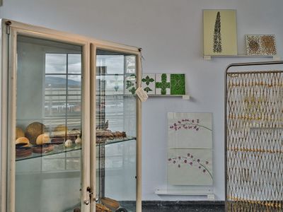 Blick in die Ausstellung "Von Gärten, Pflanzen und Menschen" im aut in Innsbruck