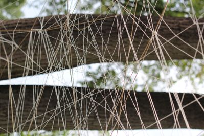 Baumhaus©Jasmin Redl