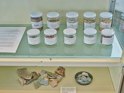 Blick in die Ausstellung "Von Gärten, Pflanzen und Menschen" im aut in Innsbruck