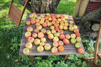 Pfarrgarten, Mariahilf, Innsbruck