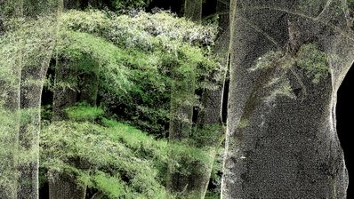 Bio Lab, Lidar Laserscan 5 Buchen