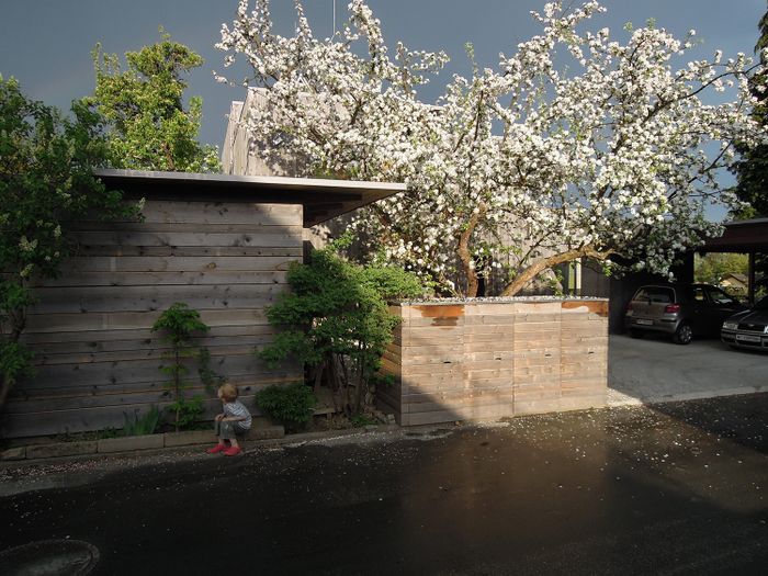 Haus W, Hofsituation